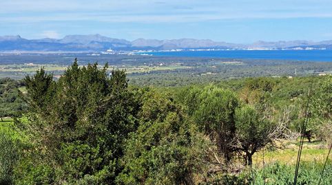Photo 3 of Country homes for sale in Sant Llorenç des Cardassar, Illes Balears