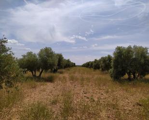 Finca rústica en venda en Tomelloso