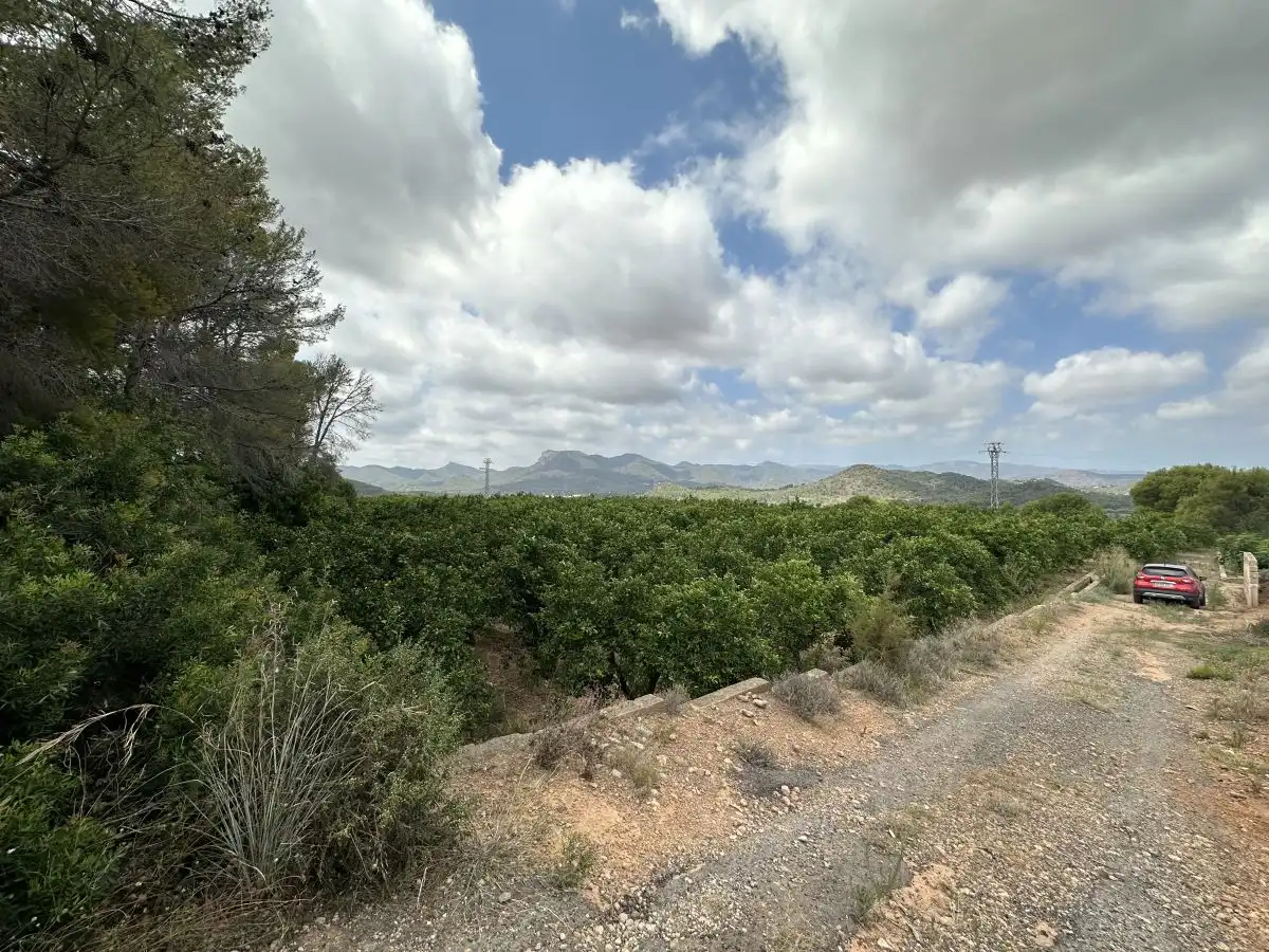Rural land for sale in Sagunto ciudad, imagen 9