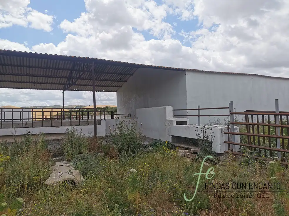 Exterior view of Country homes for sale in Espera