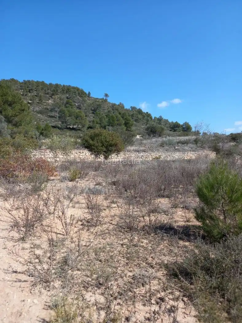 Rustikales Grundstück zum Verkauf in Carrer de l'Església 35, imagen 2