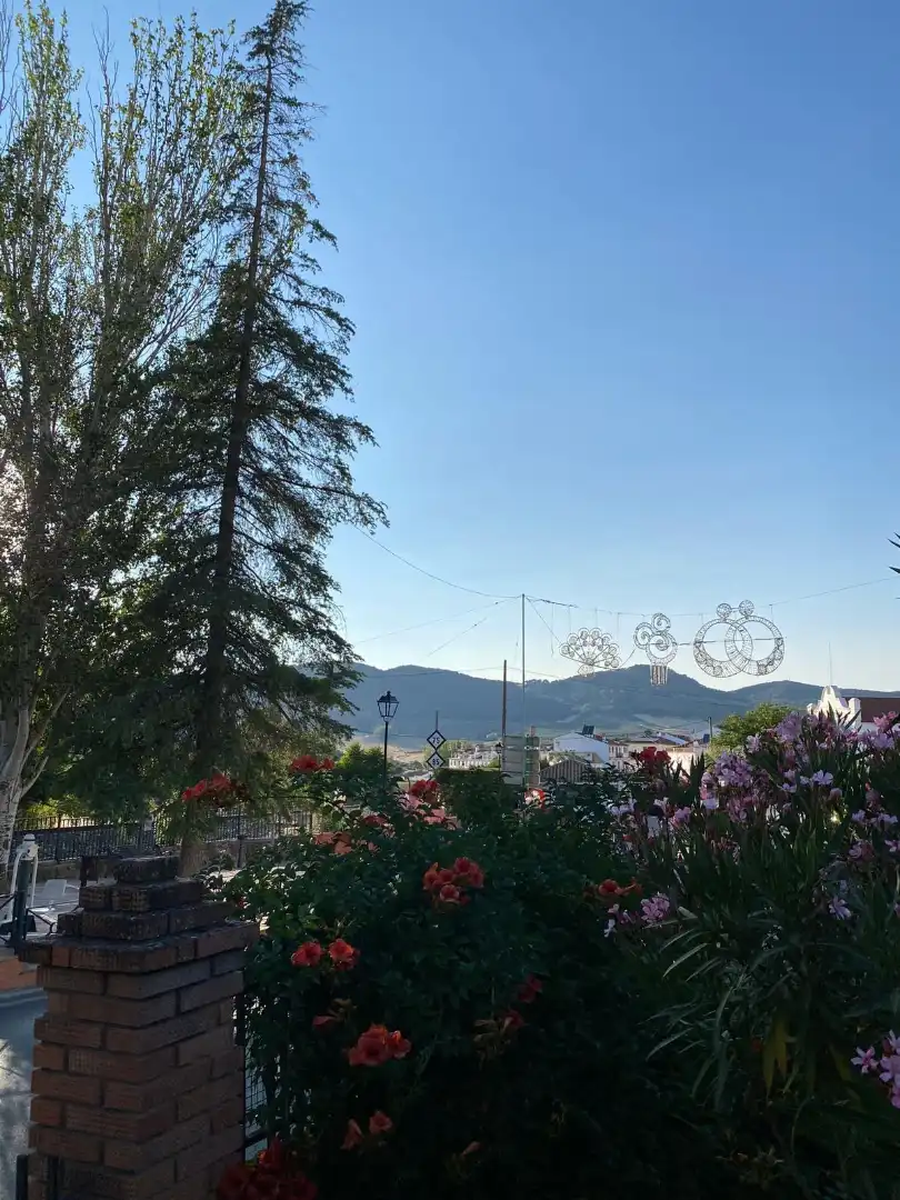 Jardí de Casa o xalet en venda en Arriate amb Aire condicionat, Calefacció i Jardí privat