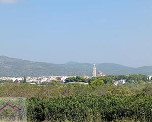 Vista exterior de Finca rústica en venda en Alcalà de Xivert amb Terrassa