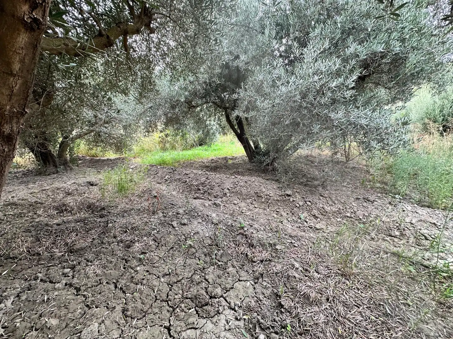 Land for sale in Rágol