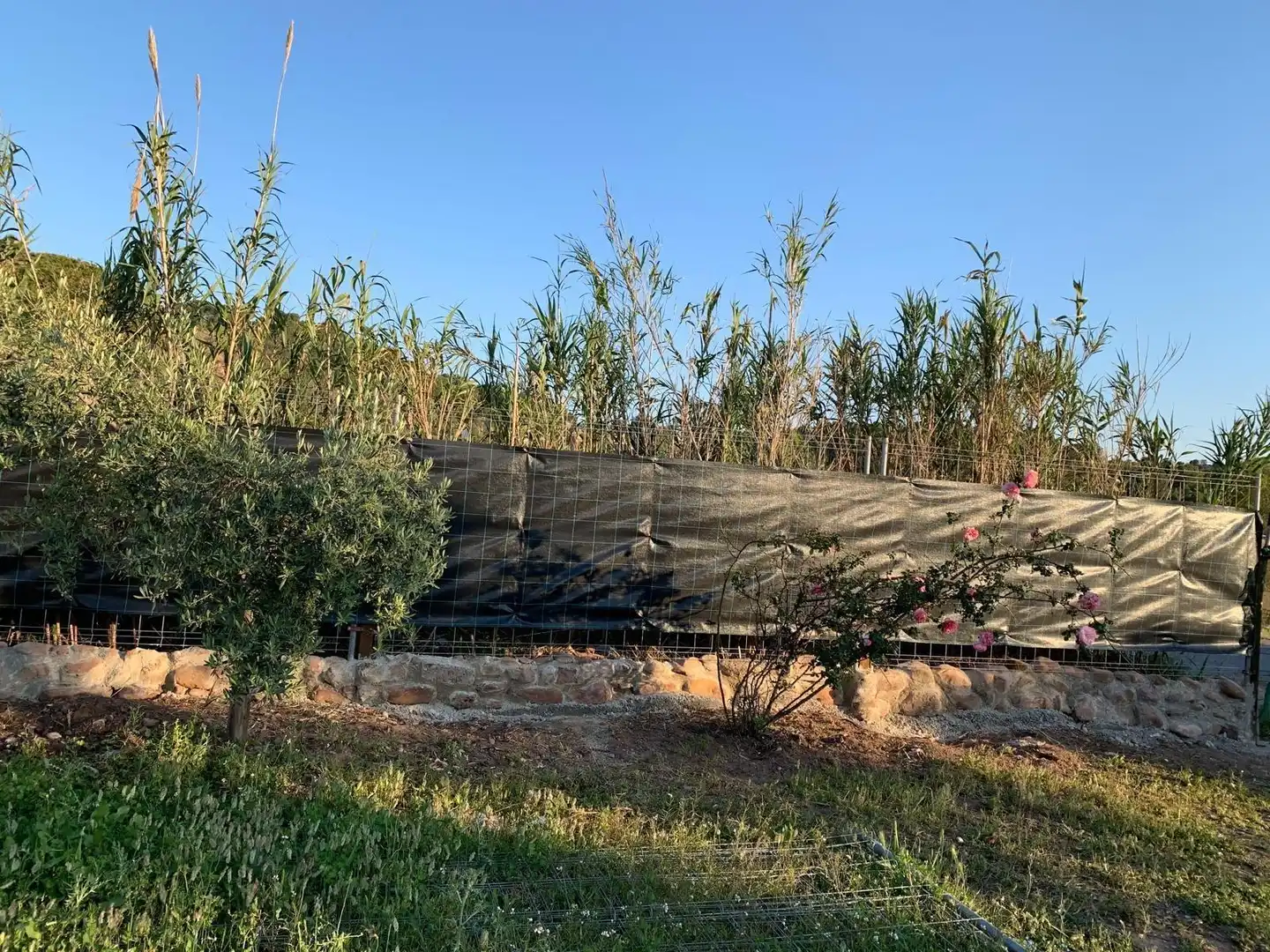 Terreno rustico in vendita a Sagunto ciudad, imagen 3