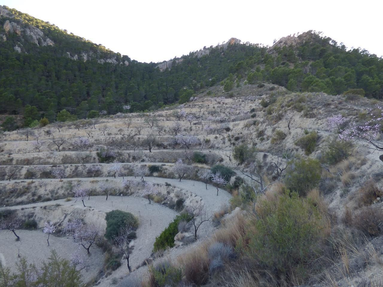 Exterior view of Residential for sale in Sella