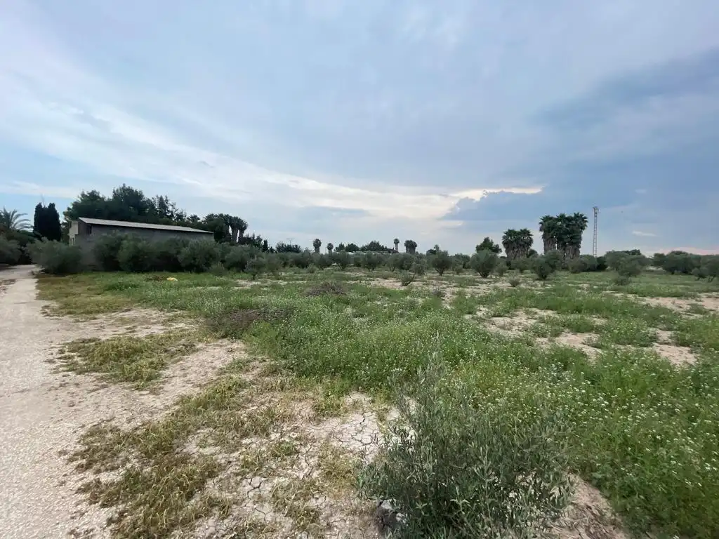 Terreno rustico in vendita a Dolores, imagen 30