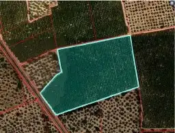 Terreny rústic en venda a Santa Bàrbara, imagen 18
