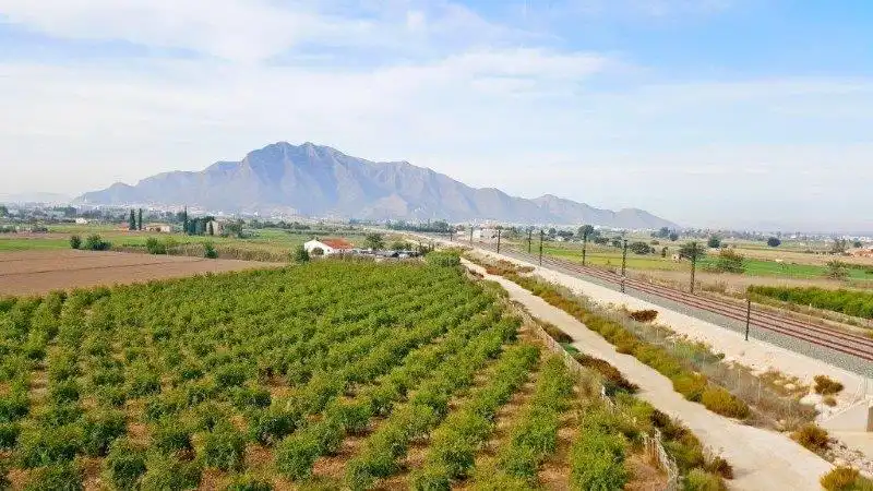 Landhaus zum Verkauf in Callosa de Segura, imagen 43