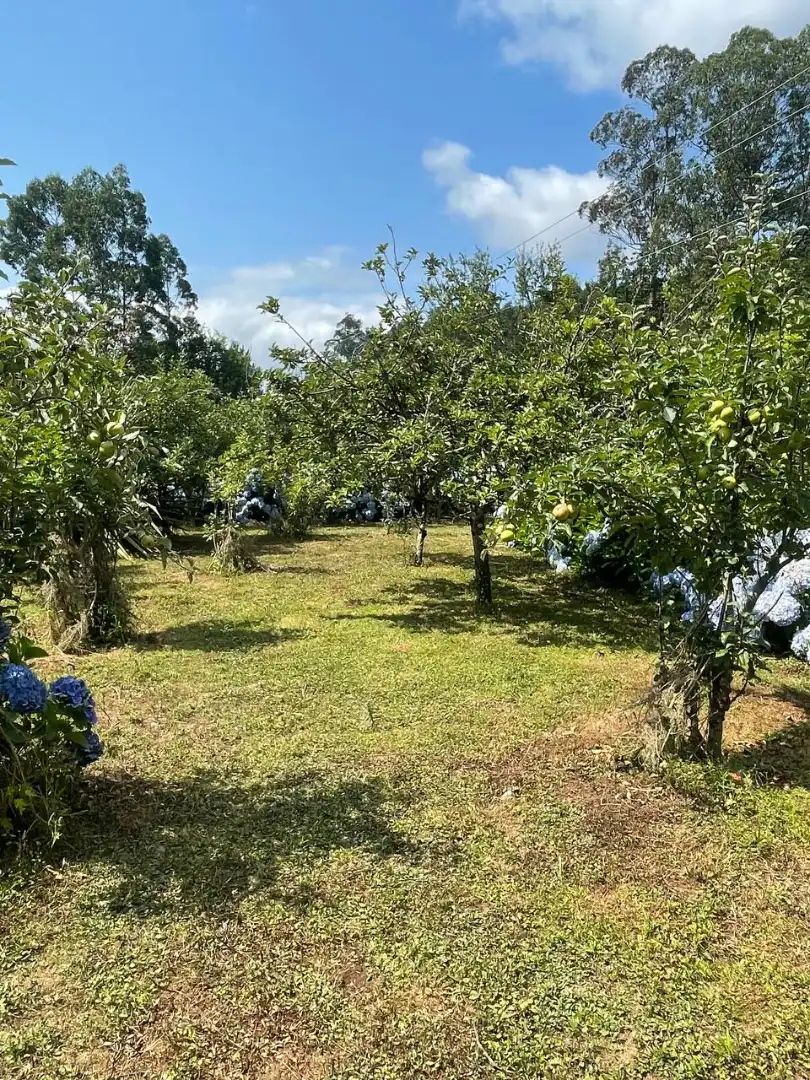 Casa amb jardí en venda a Parroquias rurales, imagen 17