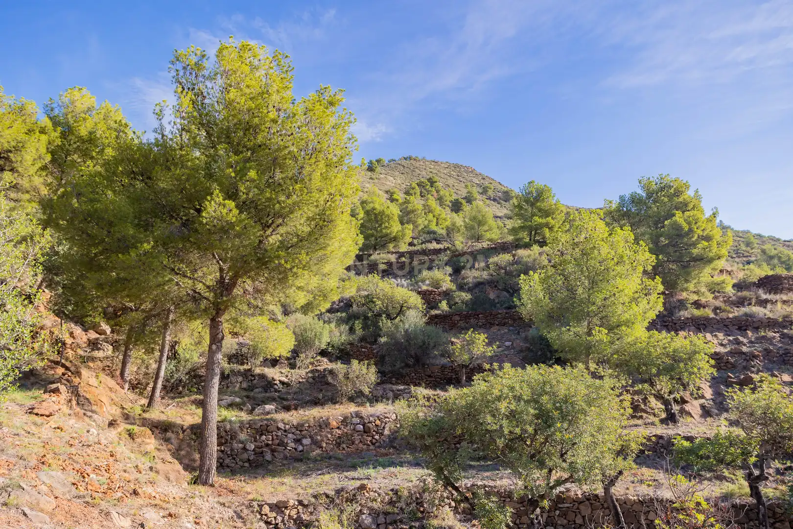 Casa en venda a Romani 16, imagen 12