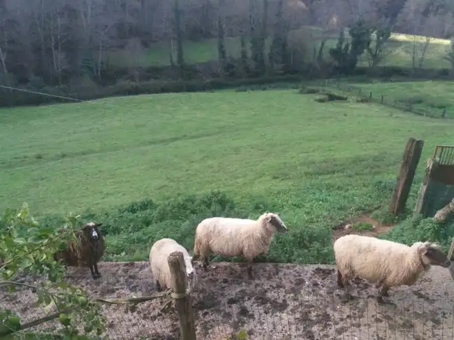 Vista exterior de Casa o xalet en venda en Cudillero amb Moblat