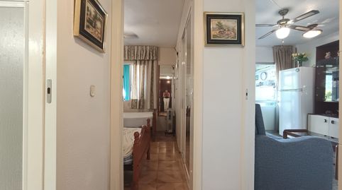 Foto 2 de Apartament en venda a Juzgados - Plaza de Toros, Benidorm