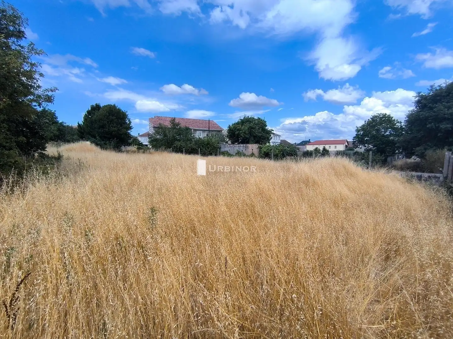 Maison avec jardin à vendre à Trasmiras, imagen 18