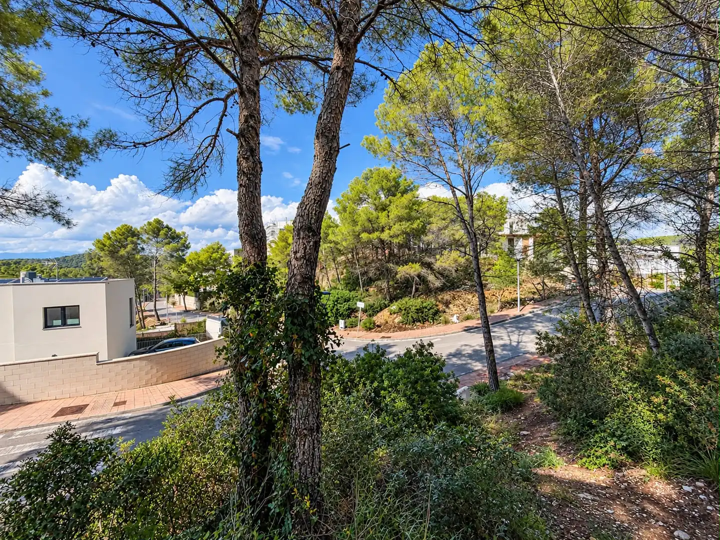 Terreny residencial en venda a Carrer Plana Novella, imagen 6
