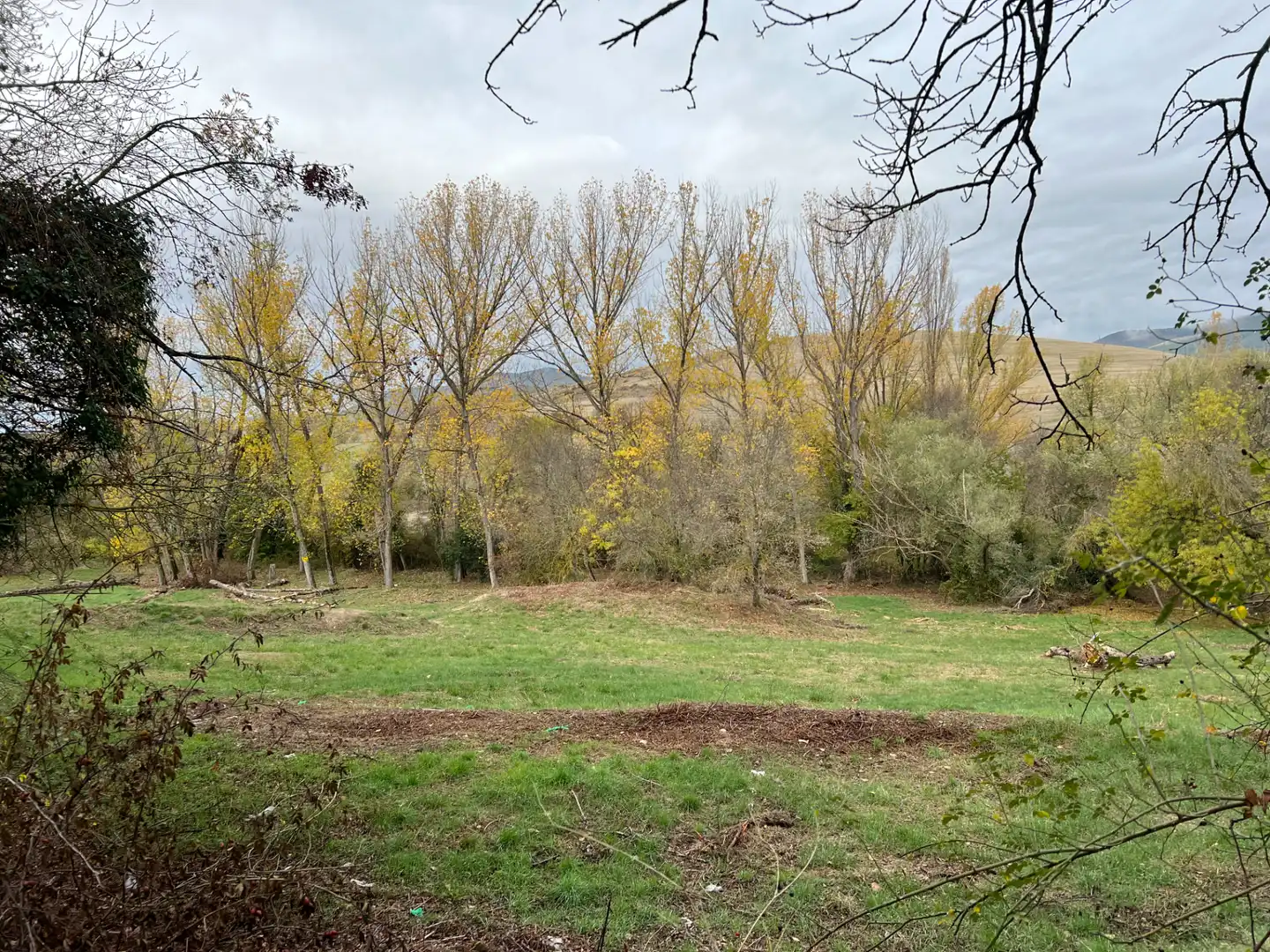 Terreni e lotti in vendita a Poblaciones norte, imagen 24