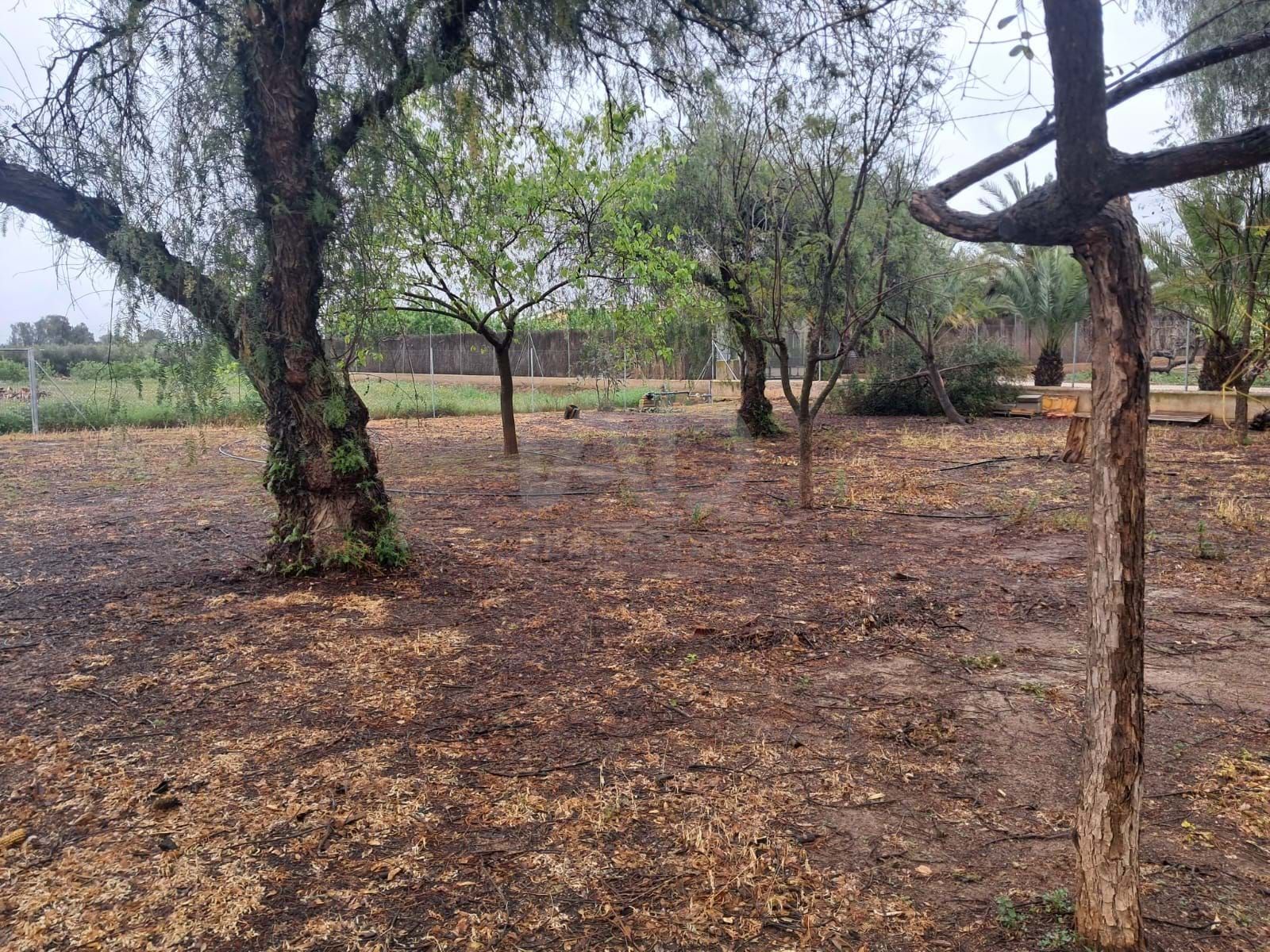 Casa o chalet en venta en Lorca con Aire acondicionado y Terraza