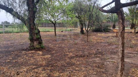 Foto 3 de Casa o chalet en venta en Purias, Lorca