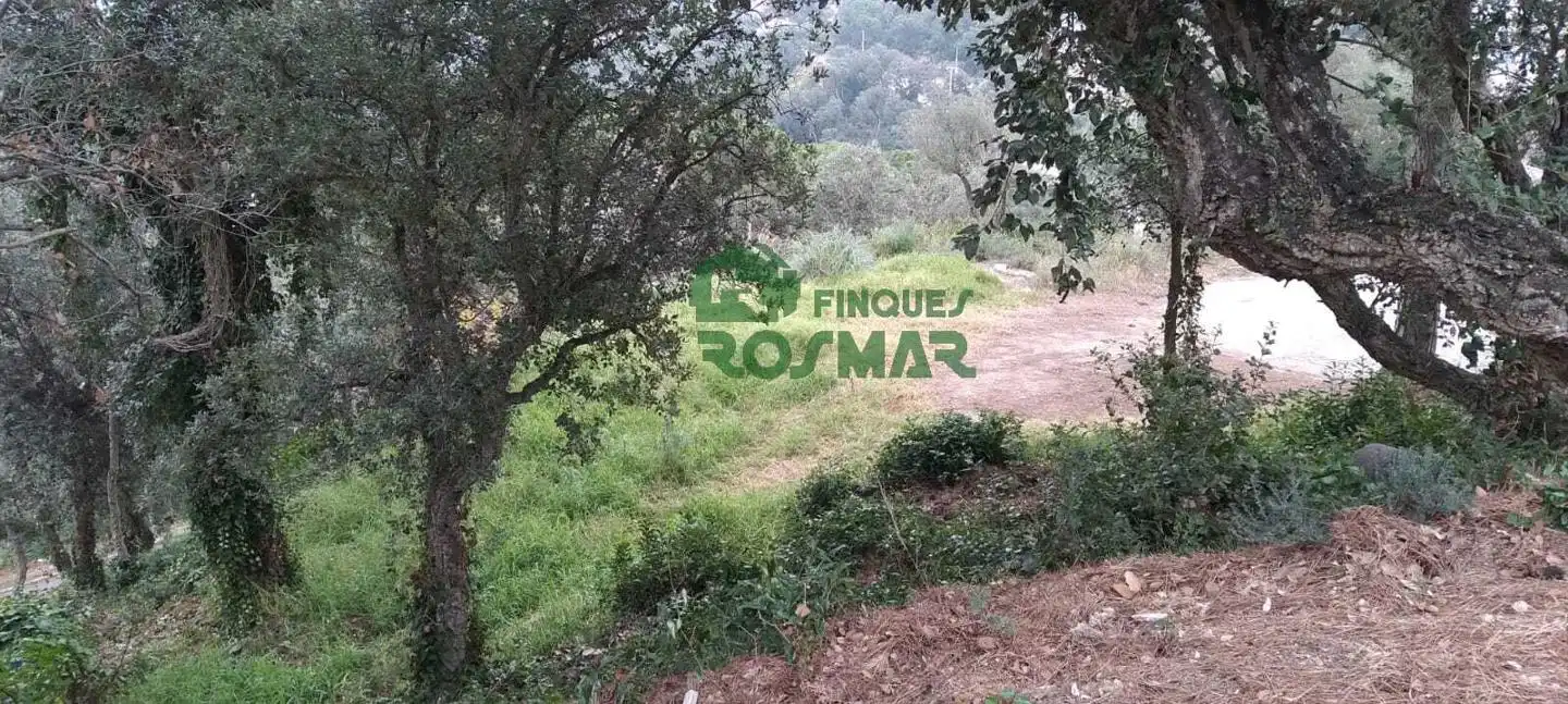 Terrenos y solares en venta en Serra Brava, imagen 6