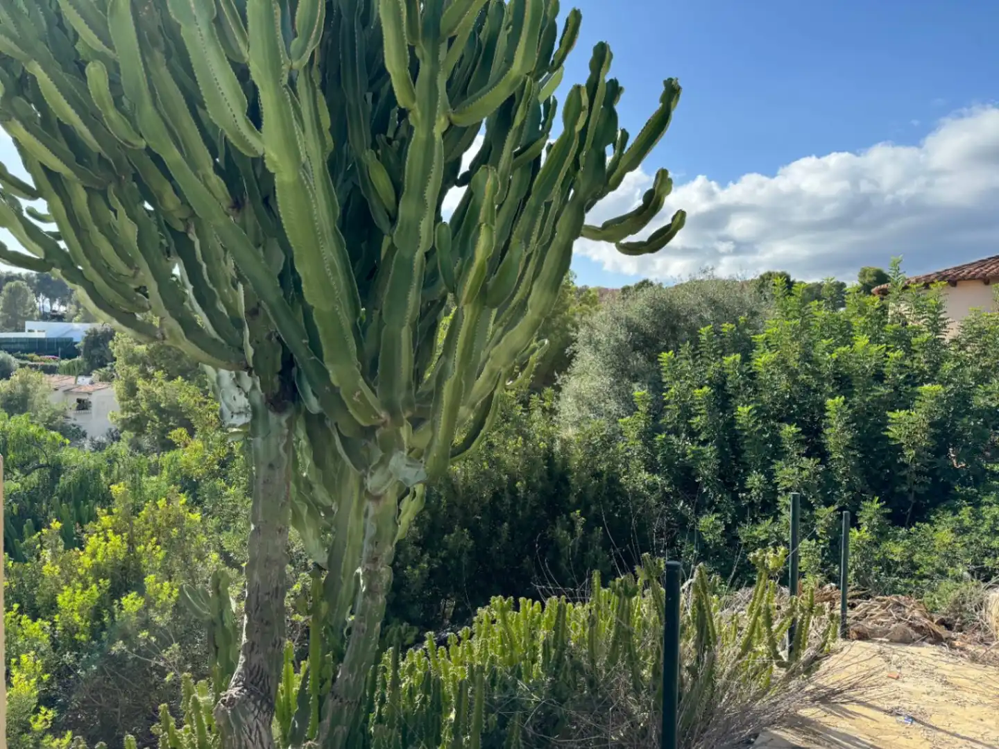 Wohnbaugrundstück zum Verkauf in Cala Advocat - Baladrar, imagen 7
