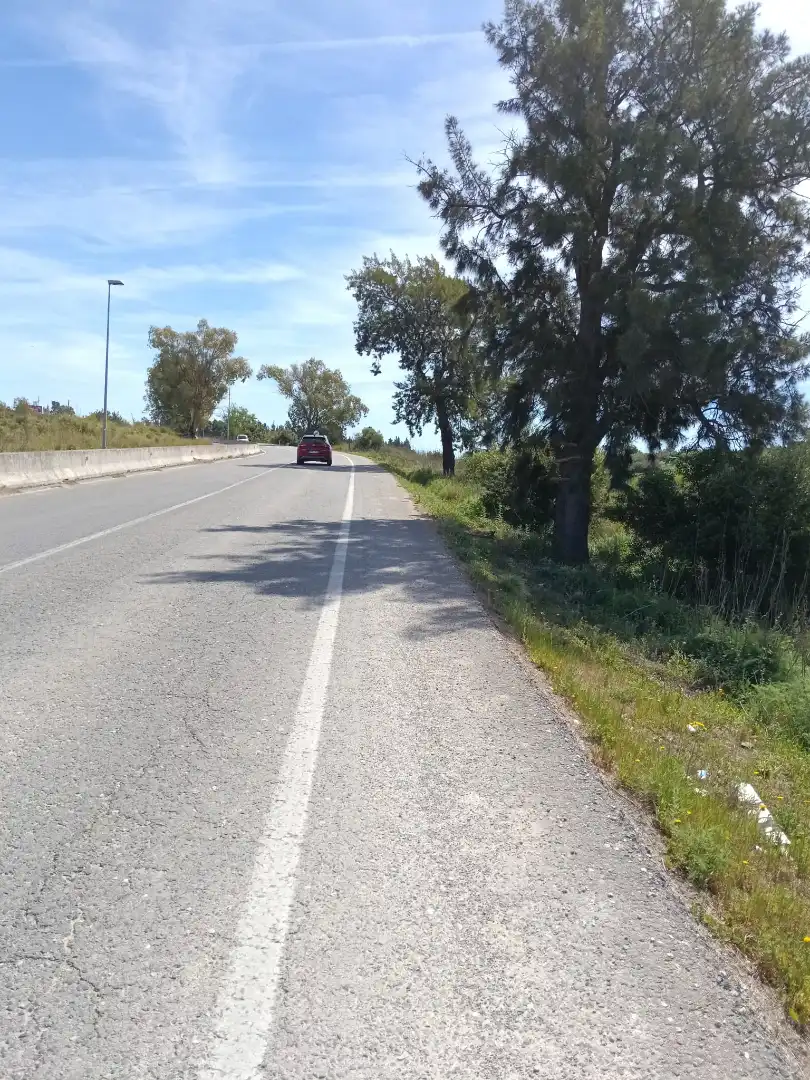 Terreny rústic en venda a Arcos de la Frontera, imagen 4