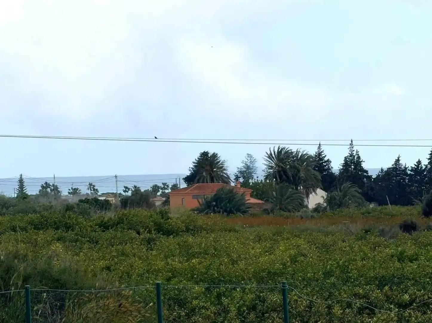 Landhaus zum Verkauf in El Edén, imagen 23