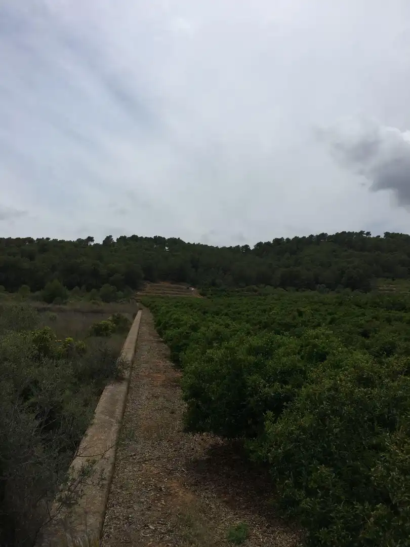Rural land for sale in Ptda Miravet, imagen 12