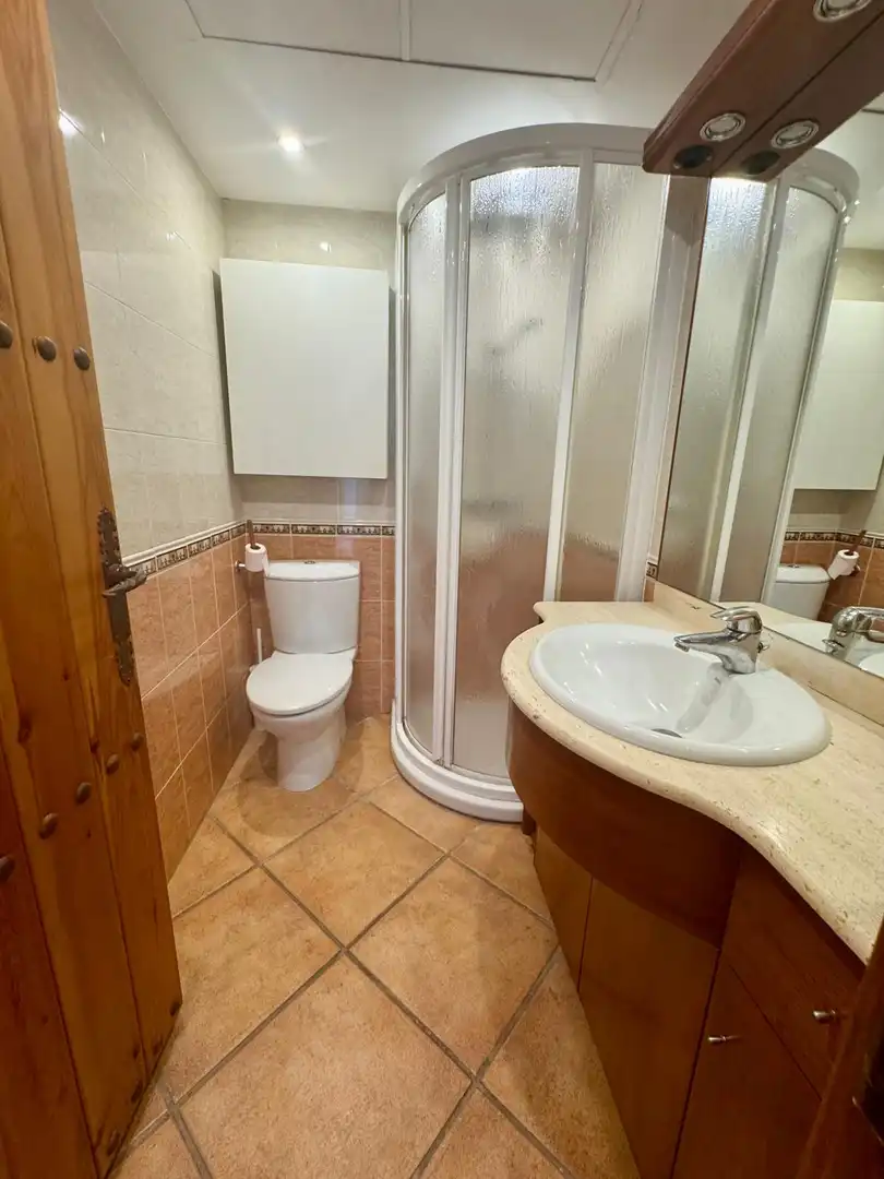 Bathroom of Apartments for rent in Marbella  with Air Conditioner, Terrace and Furnished
