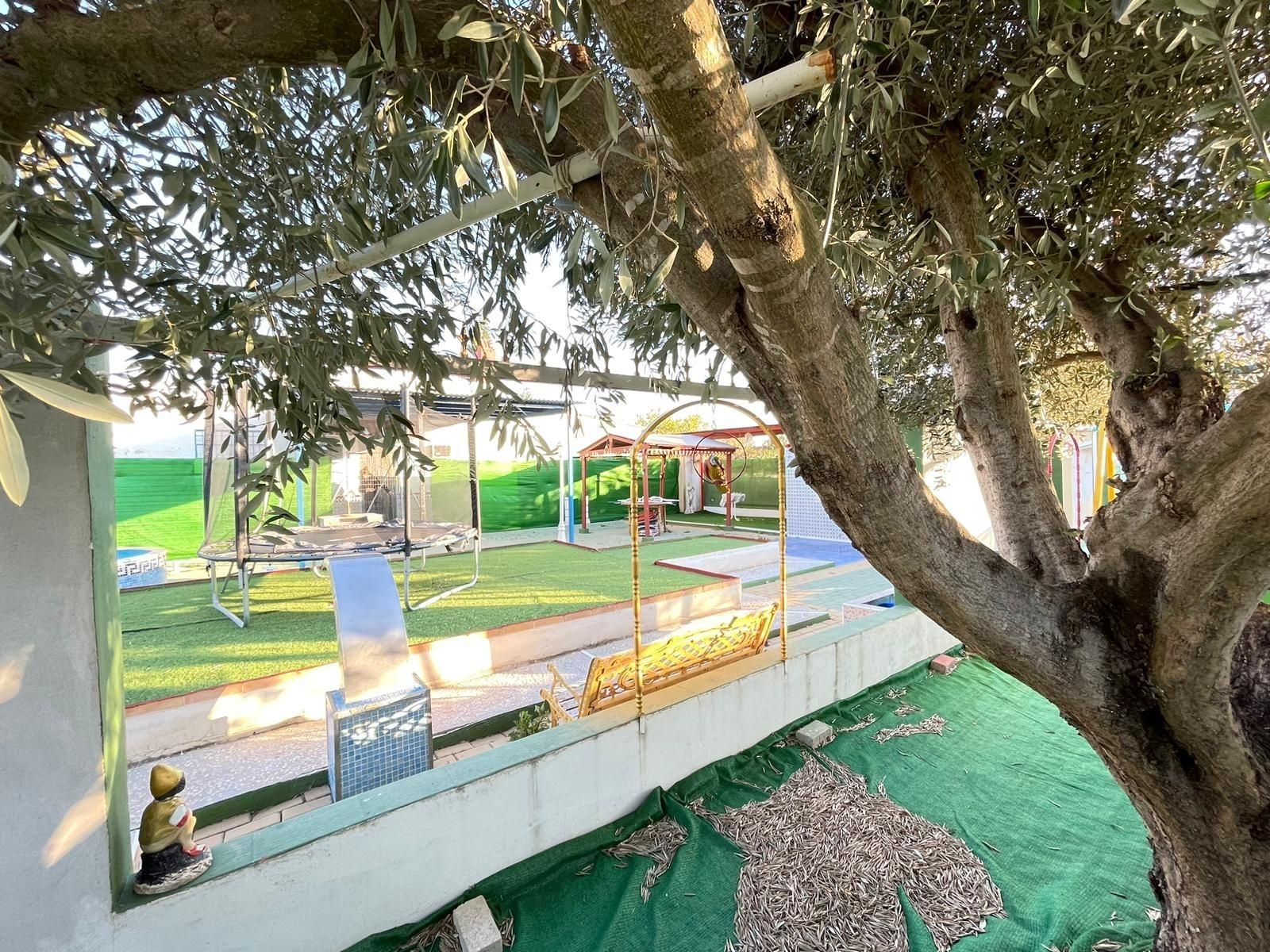 Garden of Country house for sale in Molina de Segura  with Swimming Pool