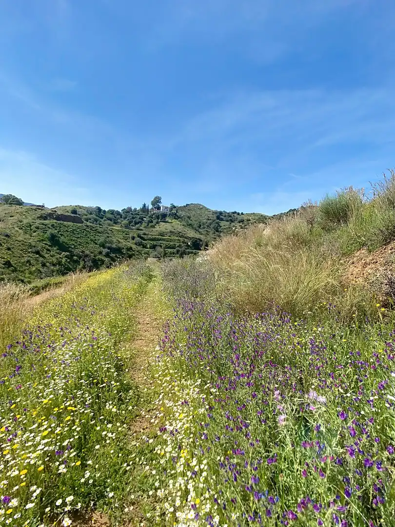 Terreni e lotti in vendita a Urbanización Pueblo Valtocado, 29650 Mijas, Málaga, Spain, imagen 9