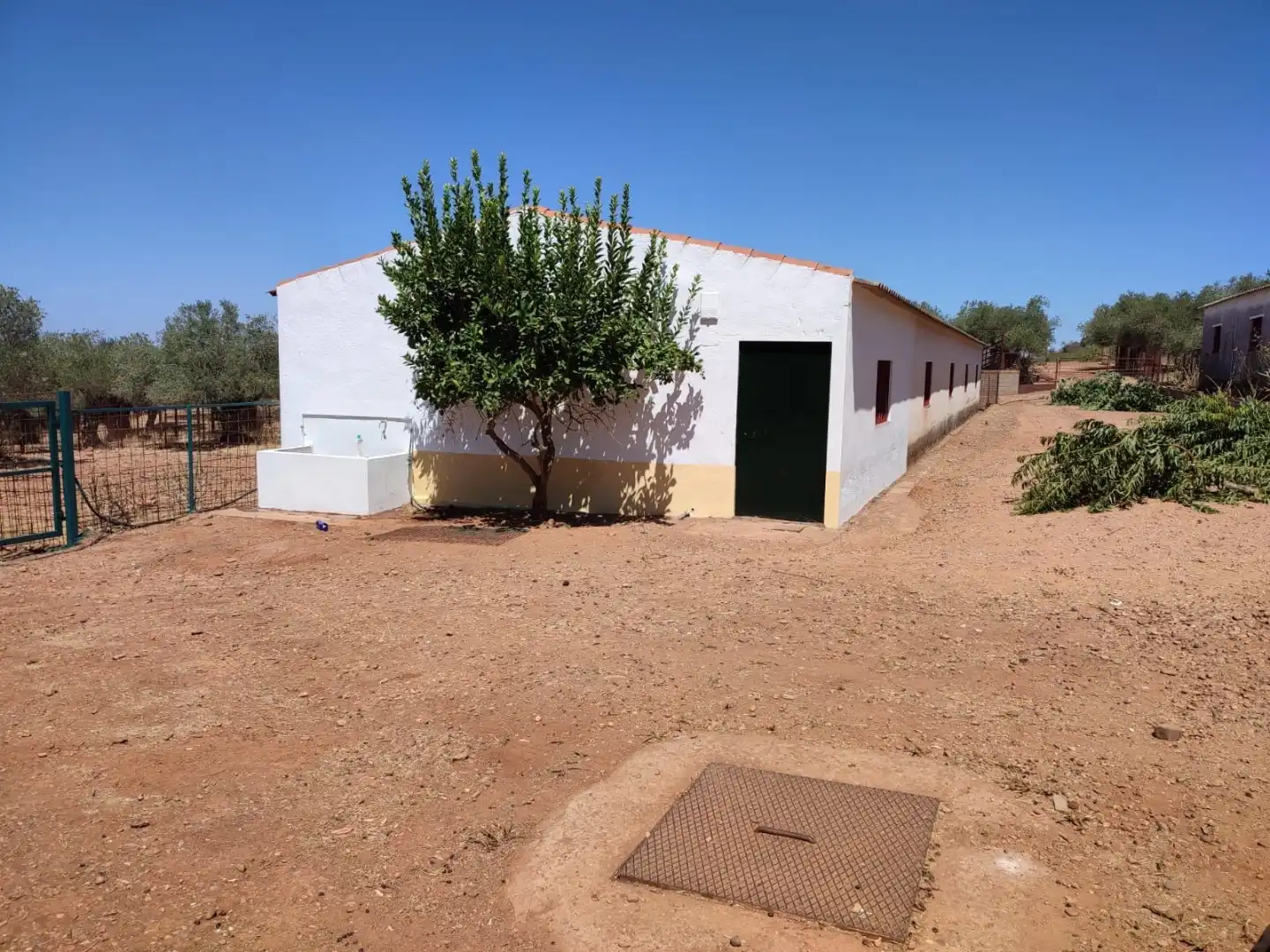 Außenansicht von Grundstücke zum Verkauf in Olivenza