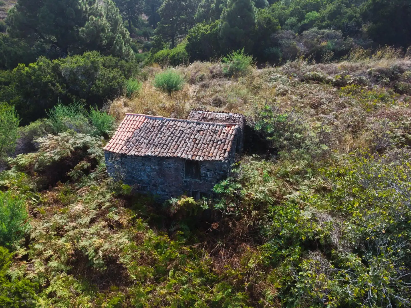 Terreny rústic en venda a Polígono 58 Parcela 59 (ABRES. GARAFIA), imagen 7
