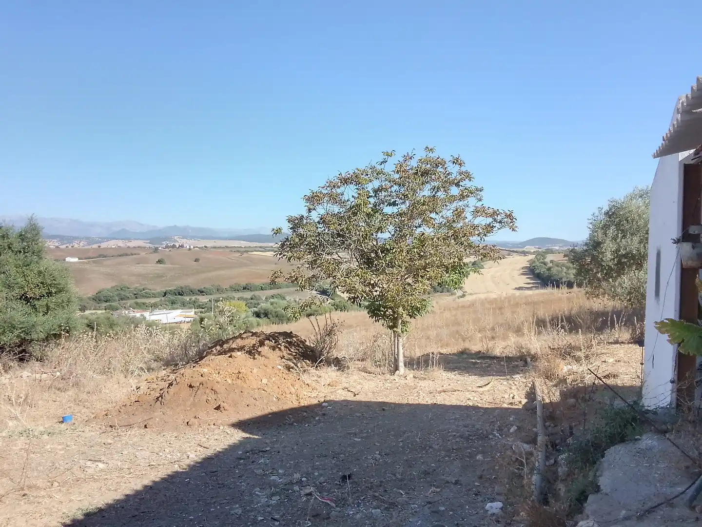 Terreni e lotti in vendita a Arcos de la Frontera, imagen 11