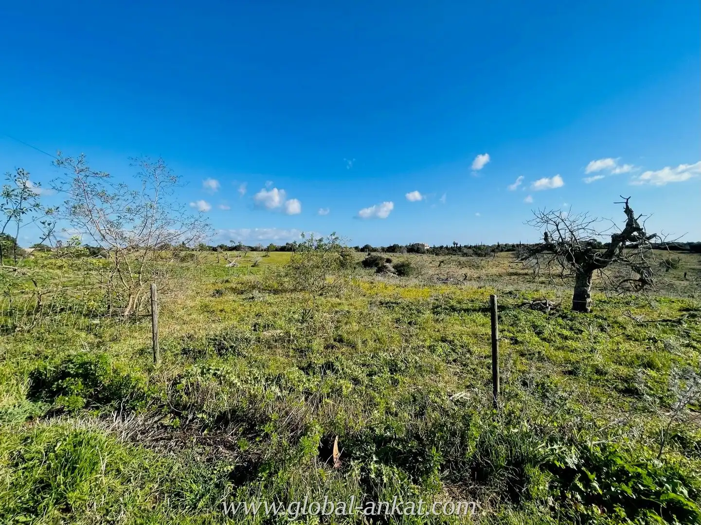 Finca rústica en venta en Manacor