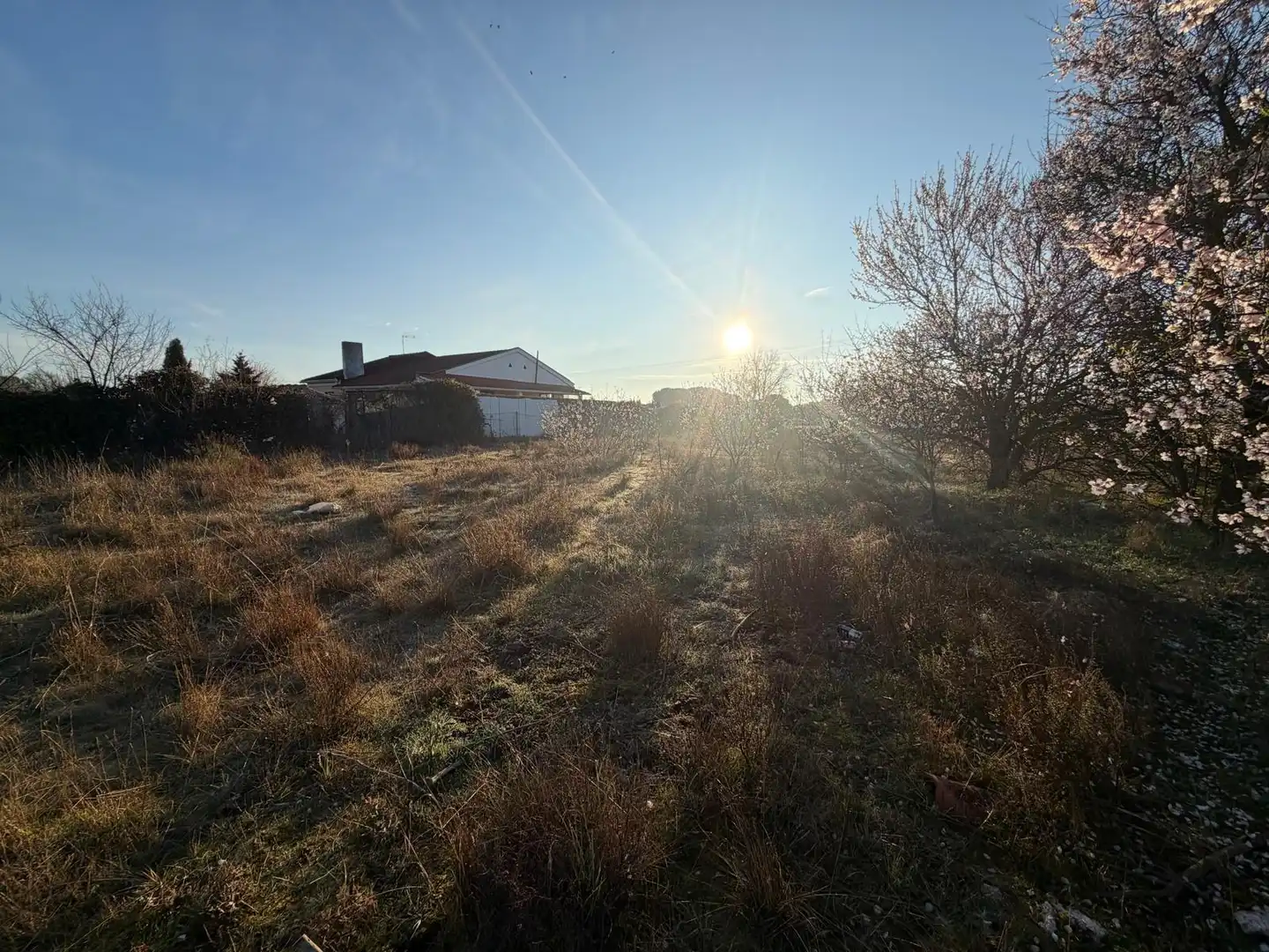 Rural land for sale in Calle San Roque, imagen 8