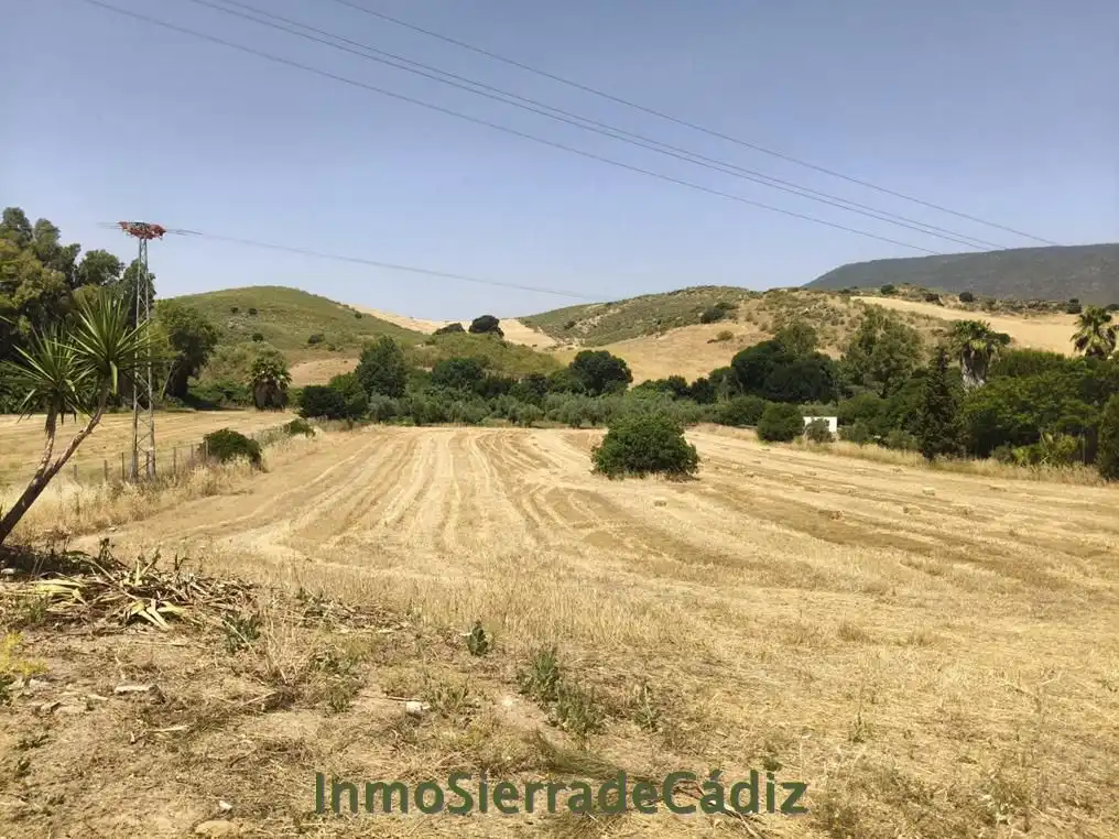Casa rústica en venda a Algodonales, imagen 19