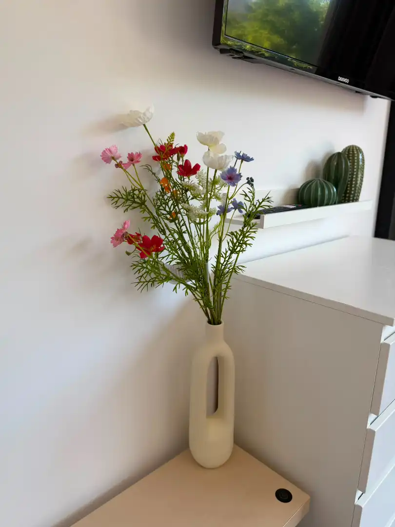 Garden of Flat for rent in Adeje  with Air Conditioner, Furnished and Washing machine