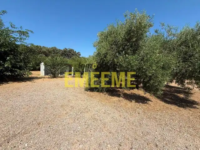 Houses for sale in Ronda  with Private garden, Terrace and Furnished