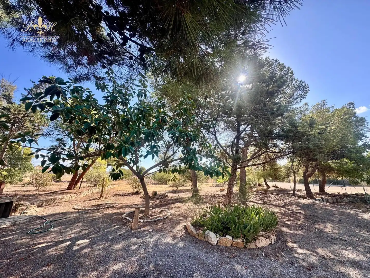 Detached house with pool for sale in EL PLANET, imagen 26