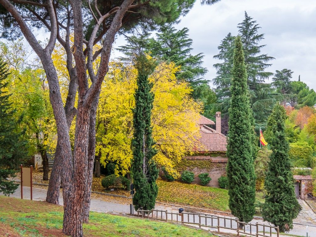 House or chalet for sale in Camino Testerales, Centro