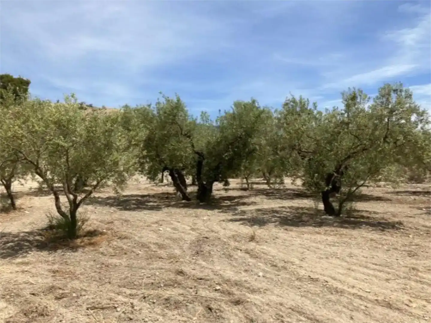 Finca rústica en venda en Jijona / Xixona amb Piscina i Balcó