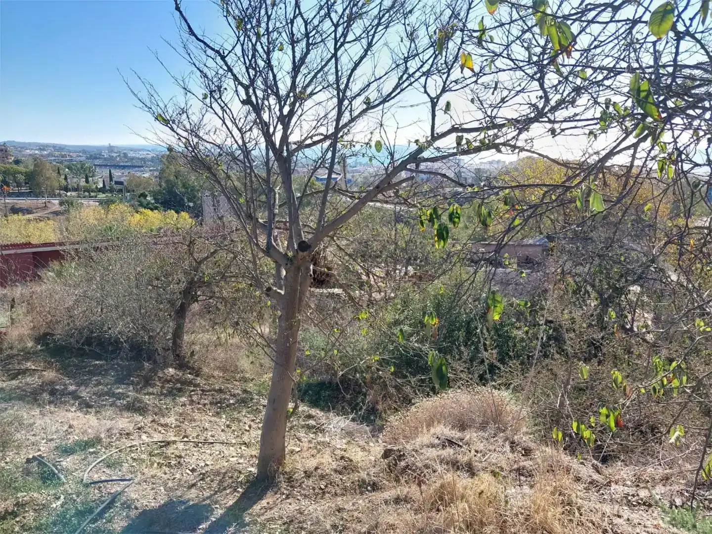 Terreno en venta en Marbella Centro