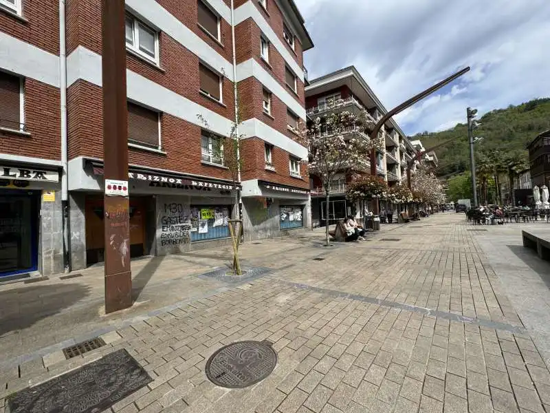 Local comercial en venta en Bergara
