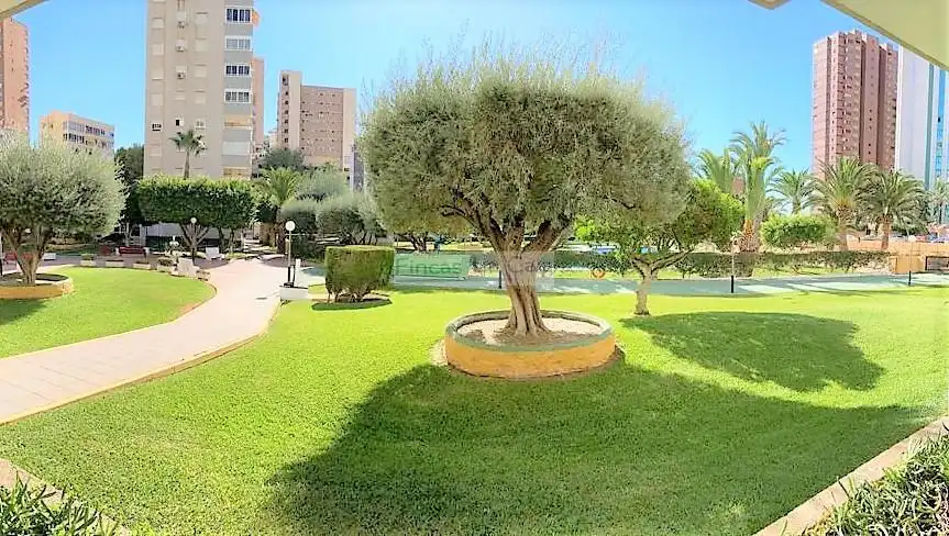 Apartment mit Terrasse zum Verkauf in Marina baixa, imagen 17