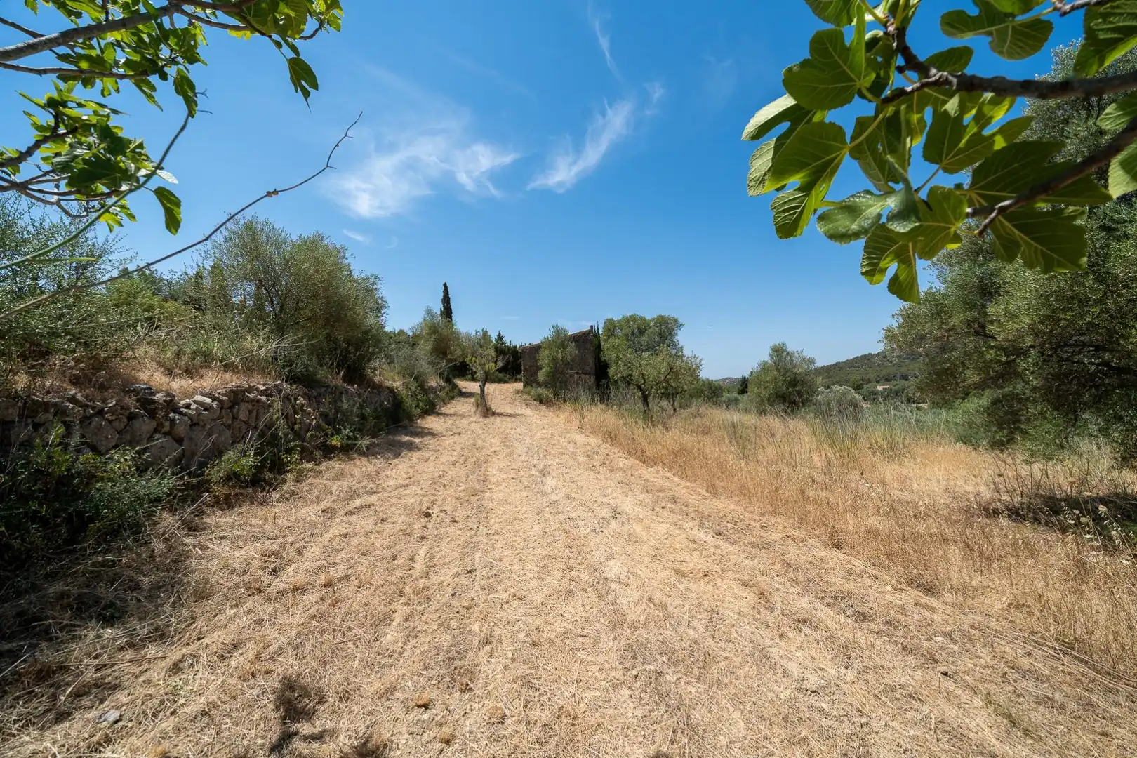 Casa o chalet en venta en Alaró con Jardín privado