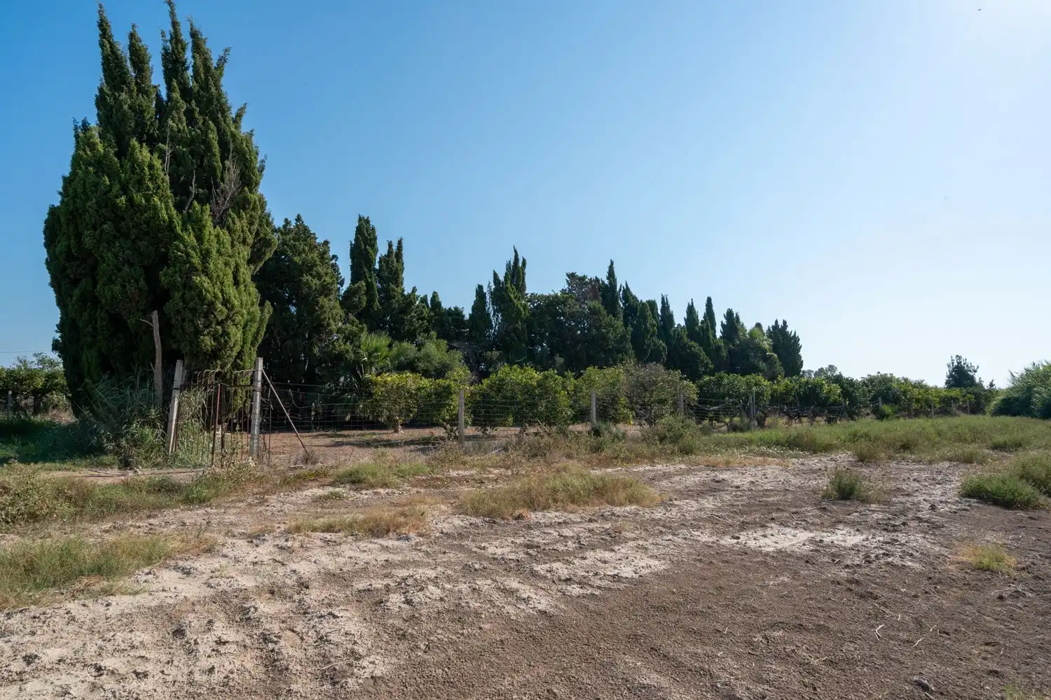 Rural land for sale in Deltebre, imagen 11