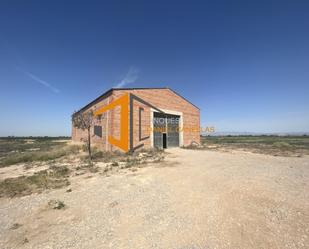 Geschaftsraum miete in Carretera Tàrrega, Anglesola