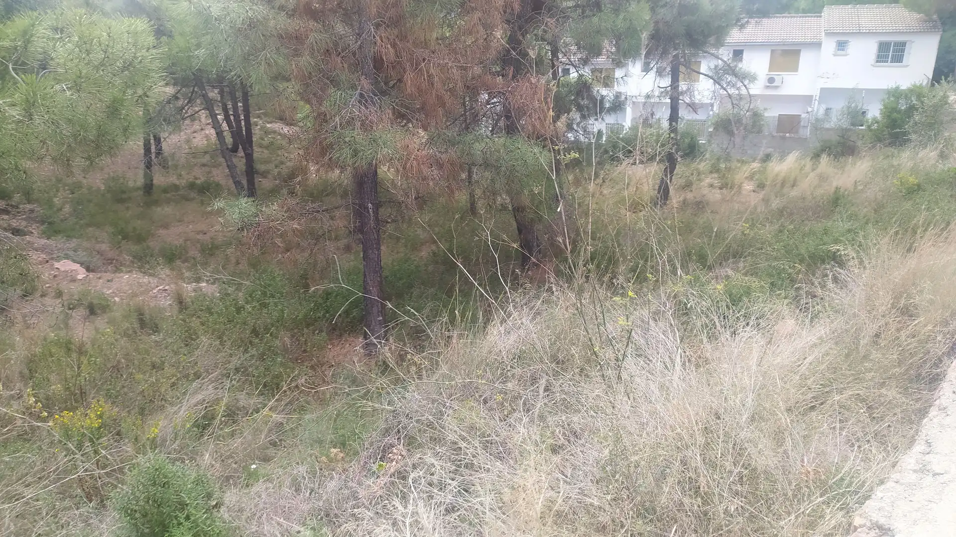Residential land for sale in Gátova, imagen 3