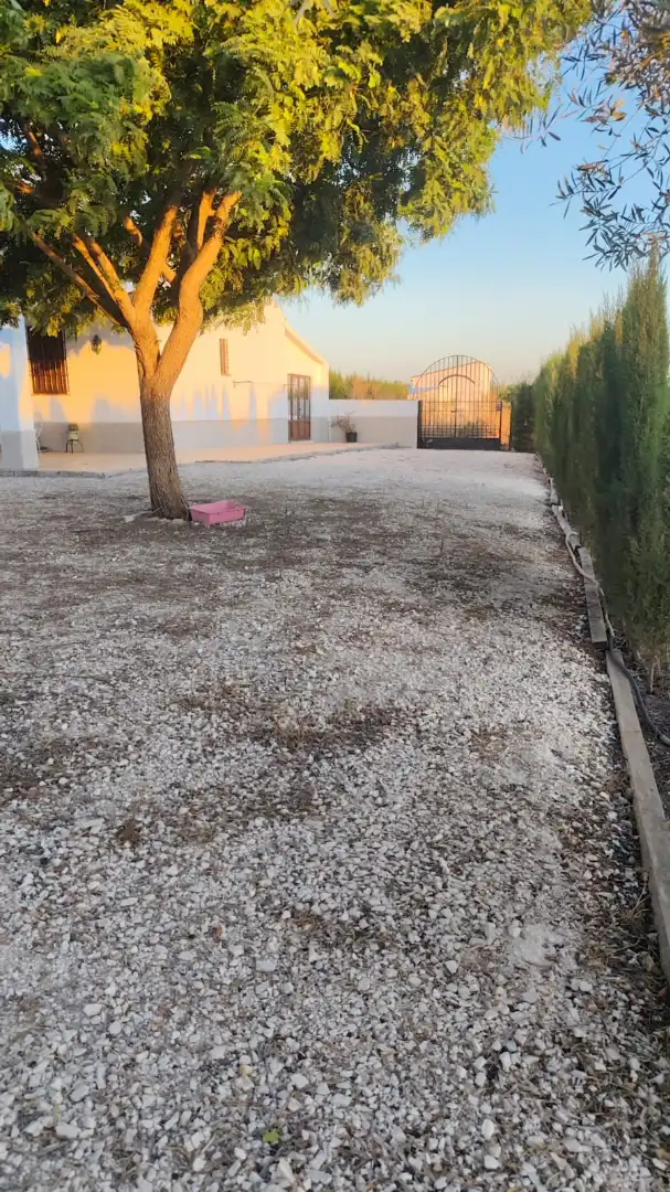 Casa rústica amb piscina en venda a Carretera Fuente Palmera, imagen 4