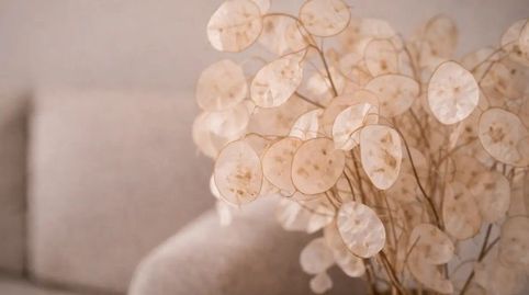 Foto 2 von Wohnung zum Verkauf in C. Germans Ca 11/64, Puig d'en Valls, Santa Eulària des Riu